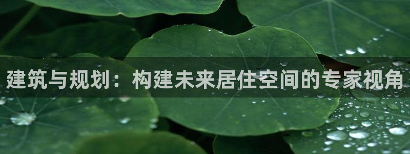 NG体育简介图片：建筑与规划：构建未来居住空间的专家视角