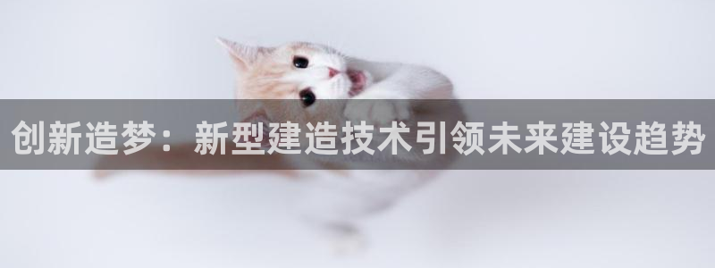 NG体育客服中心：创新造梦：新型建造技术引领未来建设趋势