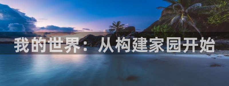 NG体育大厅透视：我的世界：从构建家园开始