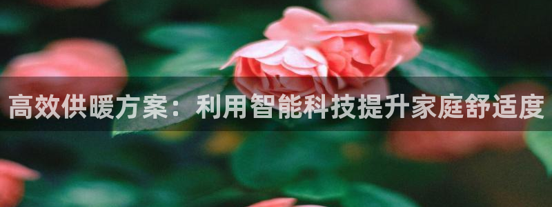 NG体育系统：高效供暖方案：利用智能科技提升家庭舒适度